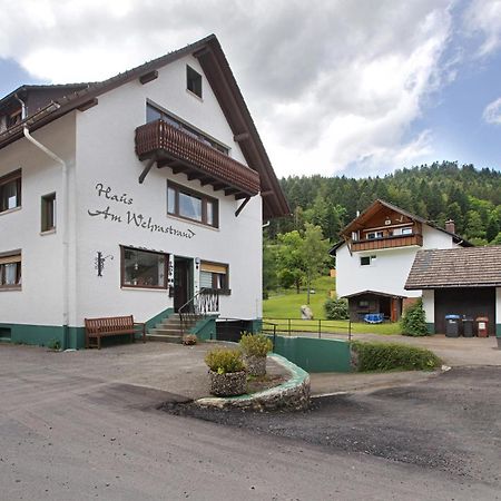 Am Wehrastrand App 4 Todtmoos Kültér fotó